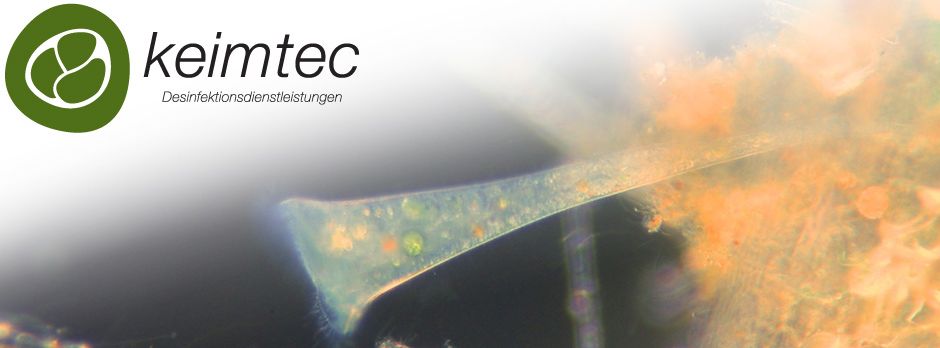 Unsichtbare Begleiter